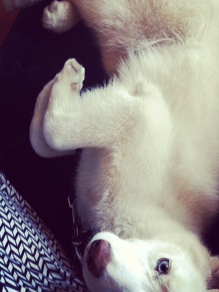 Ramona Image #19