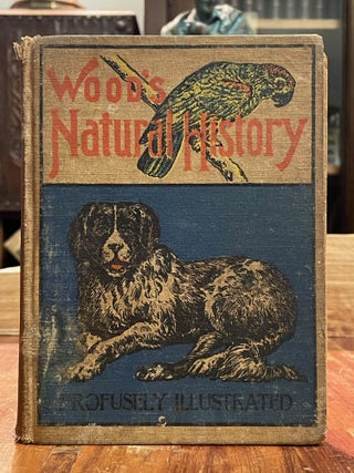 Item #4672 Illustrated Natural History. J. G. WOOD